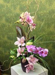 Pin On Flowers Plants