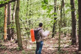 The intricate process requires specialized tools. Top 75 Best Manly Hobbies For Men Next Luxury