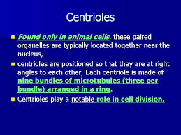 Check spelling or type a new query. The Cell N A Cell Is The Smallest