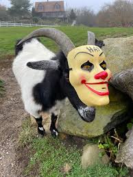 Trick or treat at Beacon Hollow Farm