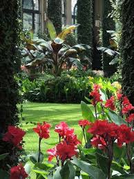 Tropischer Garten Garten Tropischer Tropical Garden Design Tropical Backyard Landscaping Tropical Garden