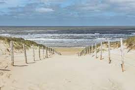 Groningen are now 6th, while vvv sits 14th. Die 8 Schonsten Hundestrande In Holland 2021 Mit Karte