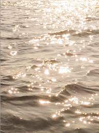 Faq helping you find your aesthetic this is a wishlist for pages that are missing from this wiki. The Lane X Esqueleto Stacks Style Guide The Lane