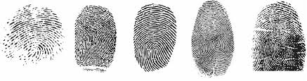 Biometricheskie Personalnye Dannye Nyuansy I Tonkosti Obrabotki Habr