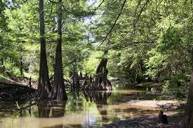 Mayflower (Faulkner County)