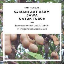 We did not find results for: 43 Manfaat Tak Terduga Asam Jawa Halaman All Kompasiana Com