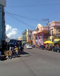 Image result for Ceiba