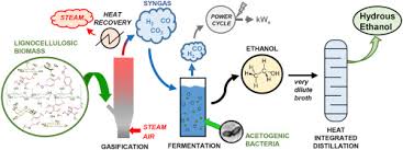 In terms of global food security, what kinds of. Hydrous Bioethanol Production From Sugarcane Bagasse Via Energy Self Sufficient Gasification Fermentation Hybrid Route Simulation And Financial Analysis Sciencedirect