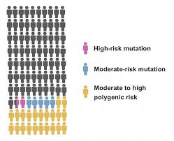 Not knowing whether you have a brca gene change might keep you from knowing how high your risk actually may be. Novel Genomic Tools Increase The Accuracy Of Breast Cancer Risk Assessment Eurekalert Science News