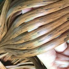 We did not find results for: Amazon Com Wuweihome Rattan Weaving Material 500g About 196 Ft Length Durable Flat Synthetic Plastic Wicker Rattan For Knit And Repair Rattan Furniture Storage Basket Diy Crafts Ect Gradient Wood Grain A