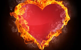 Beautiful Images of Hearts. 240 Quality Photos for Free