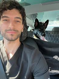 Staffordshire bull terrier's transformation from fear to trust