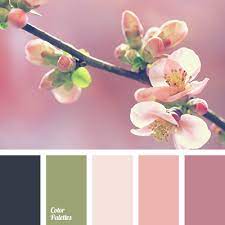 The name is derived from the late latin word pastellus, which means paste. Dusty Pastel Colours Color Palette Ideas