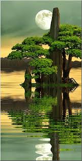 Pin By Love Spells Marriage Spell C On Gifs My Little Creation For You Beautiful Nature Nature Photography Nature