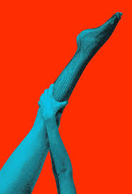 Bird A La Mode Cps Supersonicart Tyler Spangler Spangler Visual Art