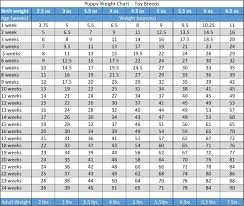 Puppy Weight Chart This Is How Big Your Dog Will Be Puppy