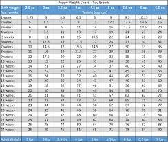 Labrador Growth Chart Goldenacresdogs Com