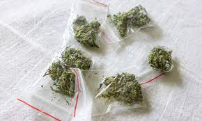 Cali weed is in its own league and prices can seem astronomical to seasoned smokers. How Much Does An Eighth Of Weed Weigh Green Rush Daily
