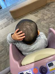 髪の毛 食べる 癖