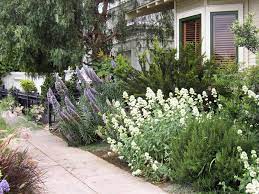 View all southern california landscaping pictures. Trends In Backyard Design What S Hot Now Hgtv