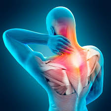 Muscle & Joint Pain - Muscle and Joint Physical Therapy Chicago | Expert  Physical Therapy | Joint Pain Relief
