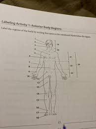Just as maps are normally oriented with north at the top, the standard body map, or anatomical position, is that of the body standing upright, with the feet at shoulder width and parallel, toes forward.the upper limbs are held out to each side, and the palms of the hands face. Body Quadrants Labeled Abdominal Quadrants And Regions Worksheets Printable Worksheets And Activities For Teachers Parents Tutors And Homeschool Families I Wonder If This Gives Us Any Benefit Or If Any