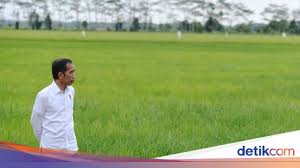 Food Estate Dan Isu Pangan Nasional