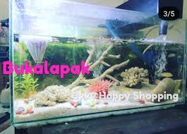 Karena banyak di jual orang dan cara membuatnya pun. Jual Aquarium Aquascape Tema Laut Air Tawar Ukuran 60x30x40 Tebal 5 Mm Bisa Costum Ukuran Dan Satu Set Sama Rak Nya Siap Pakai Di Lapak Okky Happy Shopping Bukalapak
