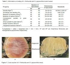 Image result for Nesogordonia