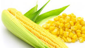 Resepi puding jagung mudah dan sedap. Resep Emping Jagung Corn Flakes Kripik Keripik Jual Distributor Snack Oleh Oleh Grosir Usaha Produsen Bisnis Agen