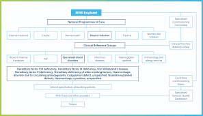 How The Nhs Commissions Services For Rare Bleeding Disorders Haemnet