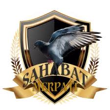 We did not find results for: 28 Gambar Logo Burung Merpati Paling Populer Lingkar Png