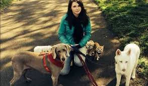 Maybe you would like to learn more about one of these? Home Dog Boarding Pet Sitting Dog Walking App Petbacker