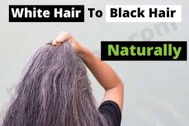Turn those pesky grey hairs into subtle golden highlights naturally without chemicals using organic cassia leaf and dried camomile flowers and deep condition. White Hair Grey Hair To Black Hair Naturally Missbonic