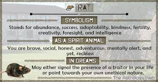 One reason is that the rat has a strong the rat symbolizes intelligence in culture, which means both cuteness and shrewdness. What Does A Rat Symbolize As A Spirit Animal Dream Meaning Of Dead Rat Symbolic Interpretation Spirit Animal Animal Totem Spirit Guides Spirit Animal Totem