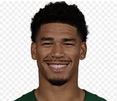 Allen Lazard for Tee Higgins, straight up. : r/nyjets