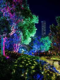 Brisbane S Enchanted Garden Life Portraits