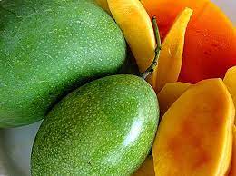 People interested in gambar pokok also searched for. Varieti Mangga Dengan Gambar Serta Jenis Pokok Mangga Pengeluaran Tanaman
