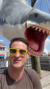 We Are Offically 1/3 Of The Way Through My 100 TikToks in 100 Days  Challenge! If You Haven’t Seen All Of The #whatguy Videos Yet, Head Over To  My Horse Guy Ross TikTok Page To Catch Up On All The ...