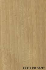 Image result for Pteleopsis