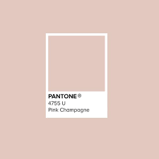 Inspiration Can Come From Anywhere When We Begin Working With A Client We Love To Create A Vision Board To Und Pantone Pantone Colour Palettes Pantone Palette