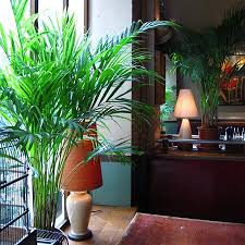 Cafe De L Industrie Paris 151617 Rue Saint Sabin Bastille Menu Prix Tripadvisor