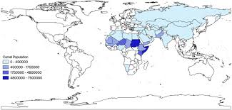Black and white camels are always healthy beverages that supplement your body with necessary nutrients and minerals. A Review Of Zoonotic Pathogens Of Dromedary Camels Springerlink