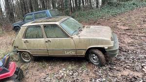Image result for Beige 1977 Renault