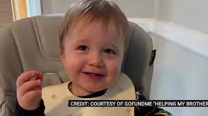 Flu Complications Claim Life of 18-Month-Old Mahopac Boy, Prompting Wave Of  Support