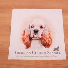 Image result for americký kokršpaněl