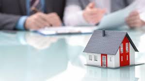 100 milyon tl sermaye şartı! 2b Arazisi Nasil Satin Alinir Ekonomi Haberleri