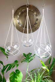 Pin On Macrame Plant Hangers