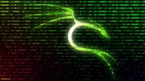 Image result for kali linux