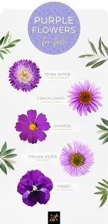 Many brides and grooms select their flowers based purely on color. 50 Types Of Purple Flowers Ftd Com